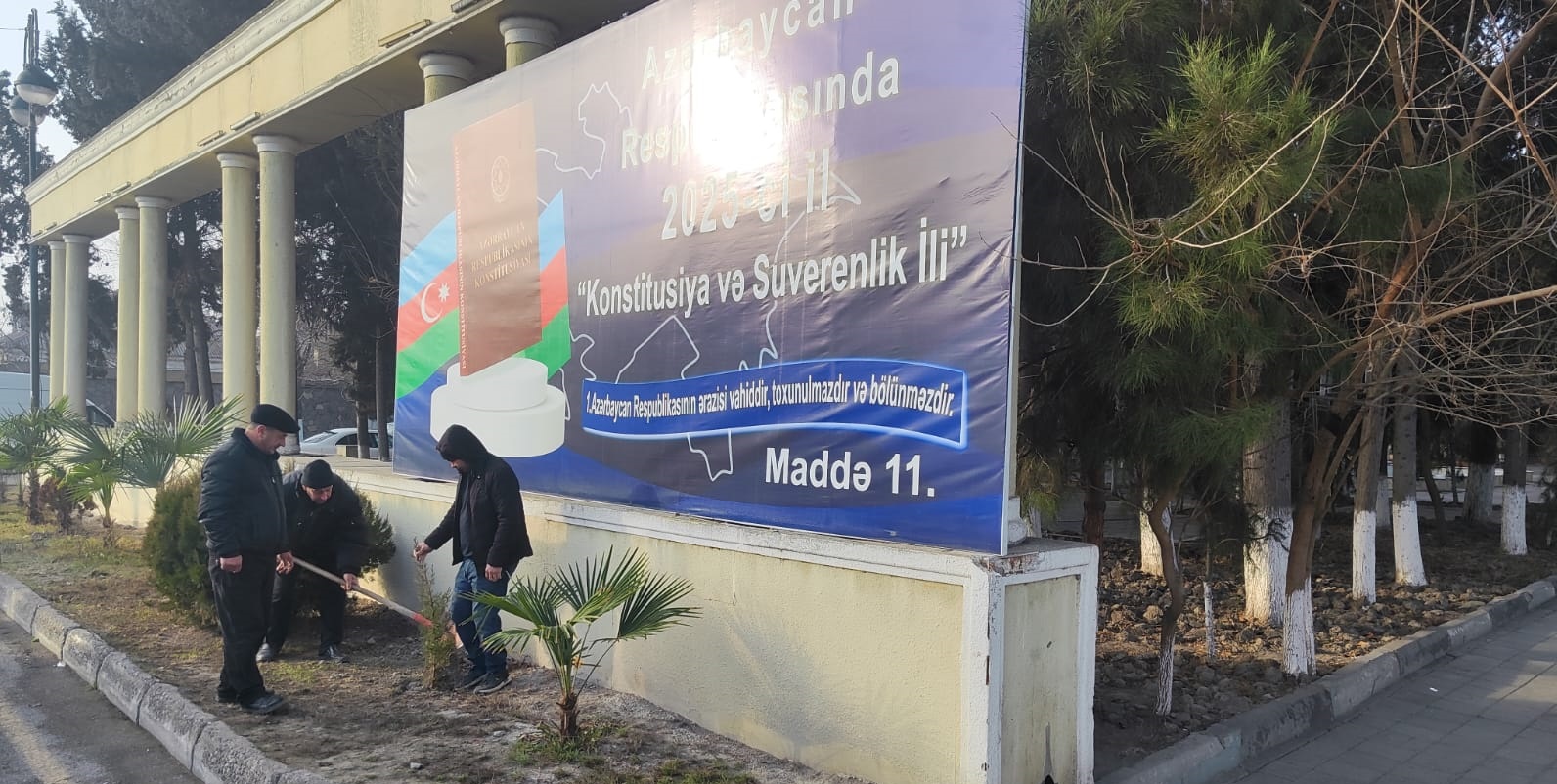 Ağacəkmə 26.12.2025 (1).jpg