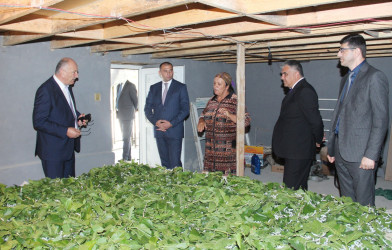 Ucar rayon İcra Hakimiyyəti Başçısı Mənsur Məmmədovun 23 may 2025-ci il tarixdə Bərgüşad kəndində səyyarı qəbulu keçirildi