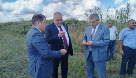 Azərbaycan Respublikasının Prezidenti cənab İlham Əliyevin 2026-cı il 25 may tarixli Sərəncamı ilə təsdiq edilmiş “Azərbaycan Respublikasında kənd təsərrüfatı, balıqçılıq və akvakultura məhsullarının istehsalı və emalı sahələrinin inkişafına dair 2026–2030-cu illər üçün Dövlət Proqramı”nın icrası ilə əlaqədar Ucar rayonunda həyata keçirilməsi nəzərdə tutulan işlərin monitorinqi keçirilmişdir