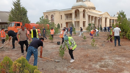 Ucar rayonunda “27 sentyabr – Anım Günü” və “Şəhərsalma və Memarlıq İli” çərçivəsində ağacəkmə aksiyası keçirilib