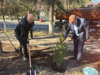 31 oktyabr 2025-ci il tarixində Ucar Rayon İcra Hakimiyyətinin təşkilatçılığı ilə “8 Noyabr - Zəfər Günü” ilə əlaqədar ağacəkmə aksiyası keçirilib