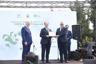 Ucar rayonunda I Çəltik Festivalı keçirilib