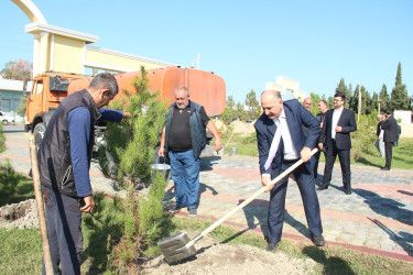 Ucar rayonunda 27 sentyabr – Anım Günü ilə əlaqədar ağacəkmə aksiyası keçirilib