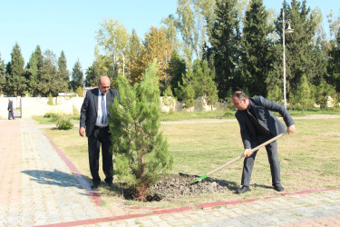 Ucar rayonunda 27 sentyabr – Anım Günü ilə əlaqədar ağacəkmə aksiyası keçirilib