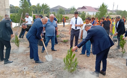 Ucar rayonunda “27 sentyabr – Anım Günü” və “Şəhərsalma və Memarlıq İli” çərçivəsində ağacəkmə aksiyası keçirilib