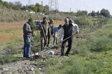 “Yaşıl Dünya naminə həmrəylik ili” çərçivəsində 23 oktyabr 2024-cü il tarixdə Ucar rayonunda növbəti ağacəkmə aksiyası keçirilib