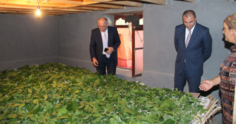 Ucar rayon İcra Hakimiyyəti Başçısı Mənsur Məmmədovun 23 may 2025-ci il tarixdə Bərgüşad kəndində səyyarı qəbulu keçirildi