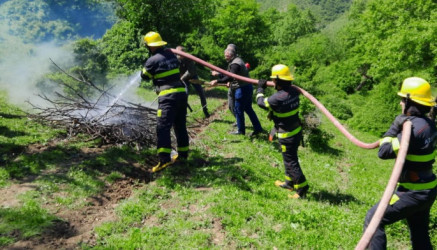Meşələrin yanğın təhlükəsizliyi