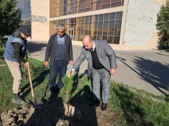 31 oktyabr 2025-ci il tarixində Ucar Rayon İcra Hakimiyyətinin təşkilatçılığı ilə “8 Noyabr - Zəfər Günü” ilə əlaqədar ağacəkmə aksiyası keçirilib