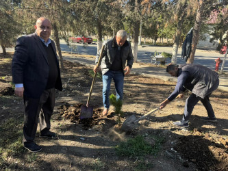 31 oktyabr 2025-ci il tarixində Ucar Rayon İcra Hakimiyyətinin təşkilatçılığı ilə “8 Noyabr - Zəfər Günü” ilə əlaqədar ağacəkmə aksiyası keçirilib