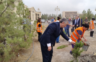 Ucar rayonunda “27 sentyabr – Anım Günü” və “Şəhərsalma və Memarlıq İli” çərçivəsində ağacəkmə aksiyası keçirilib