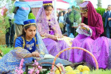 Ucar rayonunda I Çəltik Festivalı keçirilib