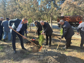 31 oktyabr 2025-ci il tarixində Ucar Rayon İcra Hakimiyyətinin təşkilatçılığı ilə “8 Noyabr - Zəfər Günü” ilə əlaqədar ağacəkmə aksiyası keçirilib