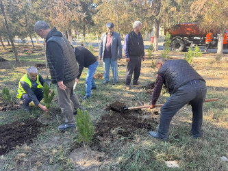 31 oktyabr 2025-ci il tarixində Ucar Rayon İcra Hakimiyyətinin təşkilatçılığı ilə “8 Noyabr - Zəfər Günü” ilə əlaqədar ağacəkmə aksiyası keçirilib