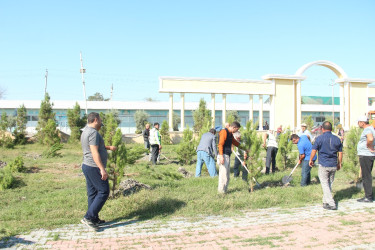 Ucar rayonunda 27 sentyabr – Anım Günü ilə əlaqədar ağacəkmə aksiyası keçirilib