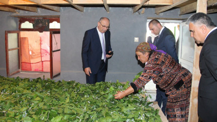 Ucar rayon İcra Hakimiyyəti Başçısı Mənsur Məmmədovun 23 may 2025-ci il tarixdə Bərgüşad kəndində səyyarı qəbulu keçirildi