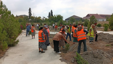 Ucar rayonunda “27 sentyabr – Anım Günü” və “Şəhərsalma və Memarlıq İli” çərçivəsində ağacəkmə aksiyası keçirilib