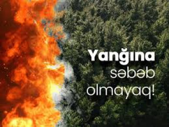 Meşələrin yanğın təhlükəsizliyi