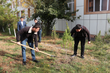 Ucar rayonunda Ümummilli Lider Heydər Əliyevin 100 illiyinə həsr olunmuş ağacəkmə aksiyası keçirilmişdir