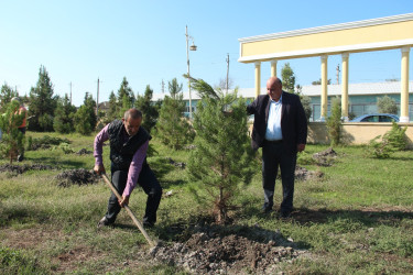Ucar rayonunda 27 sentyabr – Anım Günü ilə əlaqədar ağacəkmə aksiyası keçirilib