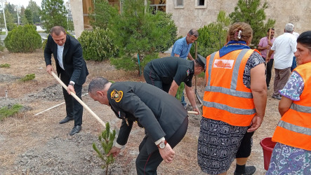 Ucar rayonunda “27 sentyabr – Anım Günü” və “Şəhərsalma və Memarlıq İli” çərçivəsində ağacəkmə aksiyası keçirilib
