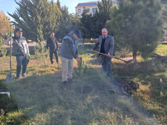 31 oktyabr 2025-ci il tarixində Ucar Rayon İcra Hakimiyyətinin təşkilatçılığı ilə “8 Noyabr - Zəfər Günü” ilə əlaqədar ağacəkmə aksiyası keçirilib