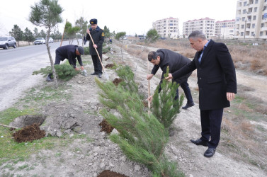 Ucar rayonunda Ümummilli Lider Heydər Əliyevin 100 illiyinə həsr olunmuş ağacəkmə aksiyası keçirildi