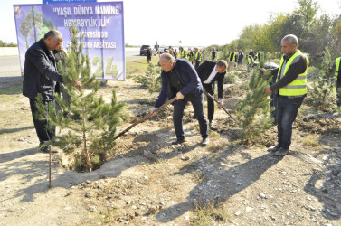 “Yaşıl Dünya naminə həmrəylik ili” çərçivəsində 23 oktyabr 2024-cü il tarixdə Ucar rayonunda növbəti ağacəkmə aksiyası keçirilib