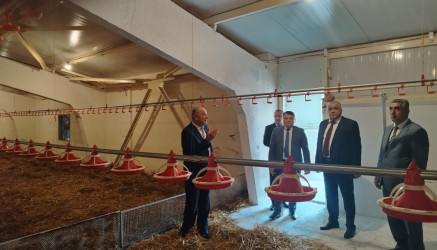 Azərbaycan Respublikasının Prezidenti cənab İlham Əliyevin 2026-cı il 25 may tarixli Sərəncamı ilə təsdiq edilmiş “Azərbaycan Respublikasında kənd təsərrüfatı, balıqçılıq və akvakultura məhsullarının istehsalı və emalı sahələrinin inkişafına dair 2026–2030-cu illər üçün Dövlət Proqramı”nın icrası ilə əlaqədar Ucar rayonunda həyata keçirilməsi nəzərdə tutulan işlərin monitorinqi keçirilmişdir